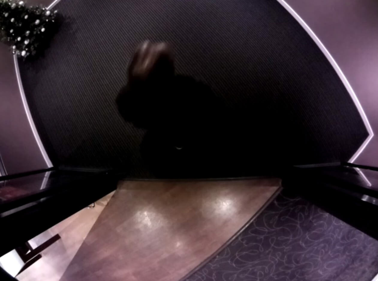 The person’s head cannot be seen clearly.